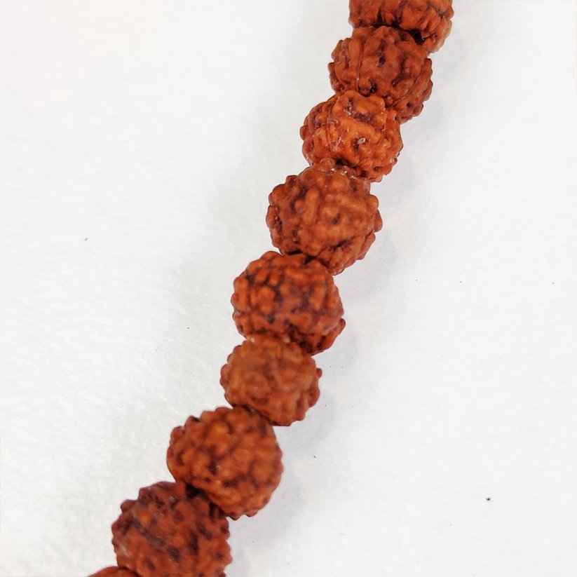 Rudraksha korálky hnedé 8 mm