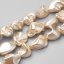 Prírodné perleťové úlomky z ulít 15~20x10~15x8~12mm