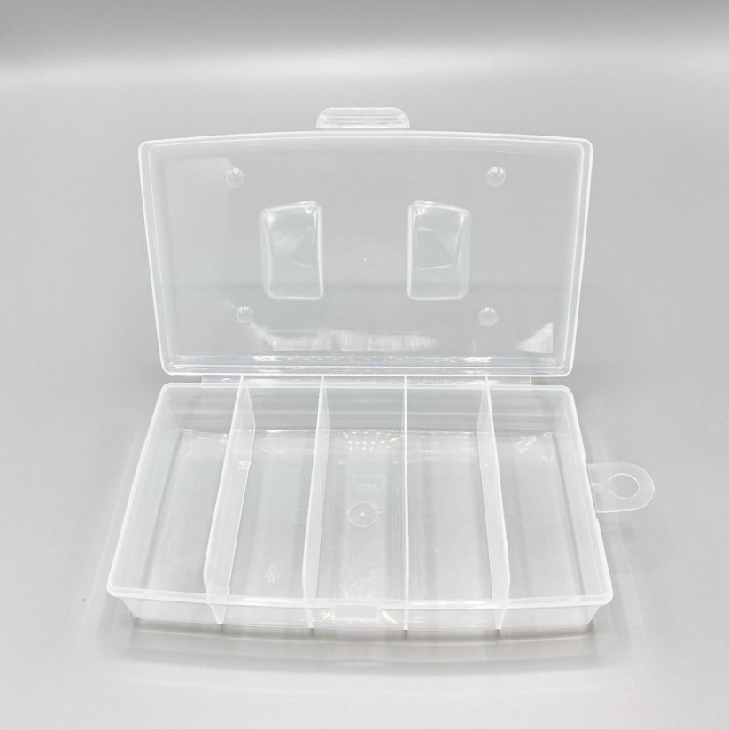 Aufbewahrungsbox aus Plastik mit 5 Fächern, 198x117x45 mm