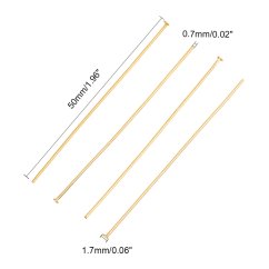 Ketlovací nýt z 304 oceli, 50x1,7x0,7 mm, zlatý
